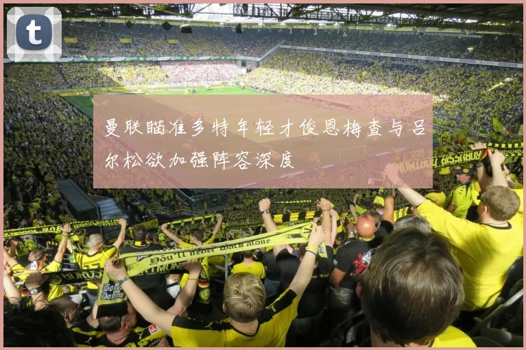 曼联瞄准多特年轻才俊恩梅查与吕尔松欲加强阵容深度